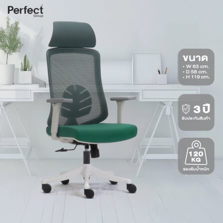 เก้าอี้ทำงานเพื่อสุขภาพ Perfect LEAF SERIES รุ่น POF-A089 สีเขียว_7